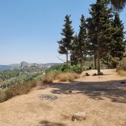 Nearby Natural Springs - Tulkarm