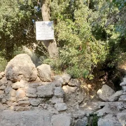 Nearby Natural Springs - Tulkarm