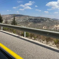 Tulkarm Municipal Park - Tulkarm