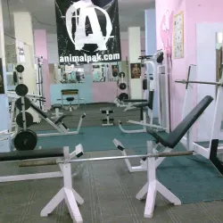 Tulkarm Sports Complex - Tulkarm