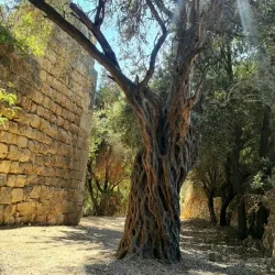 Nearby Hills and Hiking Trails - Ya'bad