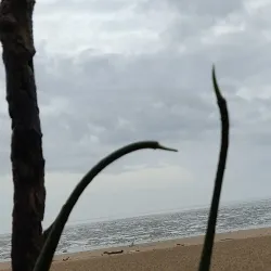 Malecón de Aguadulce - Aguadulce