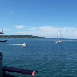 Bocastown Local Market - Bocastown