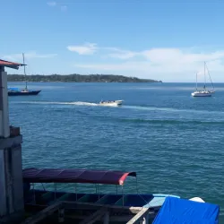 Bocastown Local Market - Bocastown