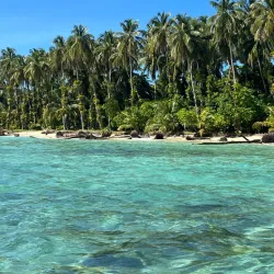 Community Festivals - Bocastown