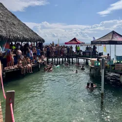 Community Festivals - Bocastown