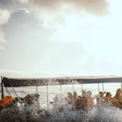 Community Festivals - Bocastown