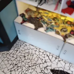 Local Artisans Workshops - Bocastown