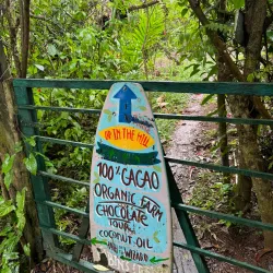 Nearby Coffee Plantations - Bocastown