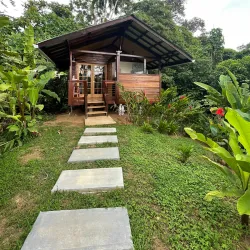 Nearby Rainforest Trails - Bocastown