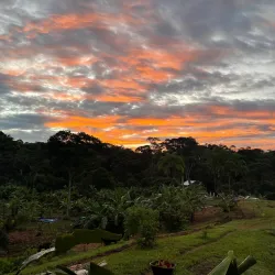 Nearby Rainforest Trails - Bocastown