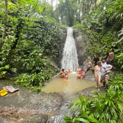 Nearby Rainforest Trails - Bocastown