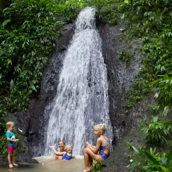 Nearby Rainforest Trails - Bocastown