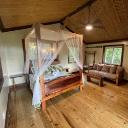 Nearby Rainforest Trails - Bocastown