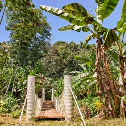 Nearby Rainforest Trails - Bocastown