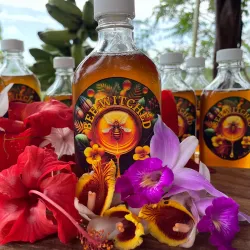 Nearby Rainforest Trails - Bocastown