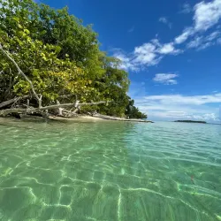 Panama Canal (Nearby) - Bocastown