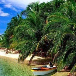 Panama Canal (Nearby) - Bocastown