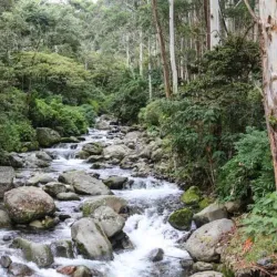 Rio Chiriqui Viejo - Bocastown