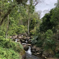 Rio Chiriqui Viejo - Bocastown