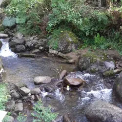 Rio Chiriqui Viejo - Bocastown