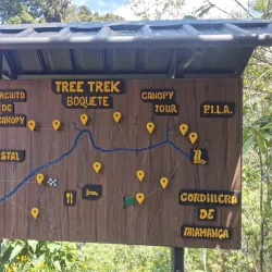 Boquete Tree Trek - Boquete