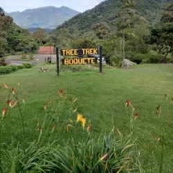 Boquete Tree Trek - Boquete