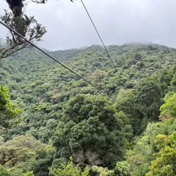 Boquete Tree Trek - Boquete