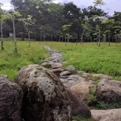 Caldera Hot Springs - Boquete