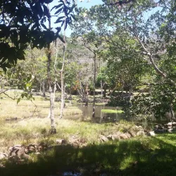 Caldera Hot Springs - Boquete