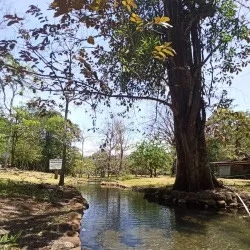 Caldera Hot Springs - Boquete