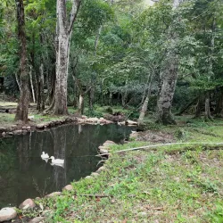 Caldera Hot Springs - Boquete
