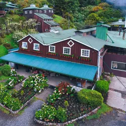 Finca Lérida Coffee Estate - Boquete