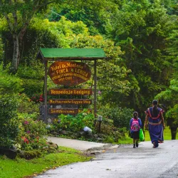 Finca Lérida Coffee Estate - Boquete