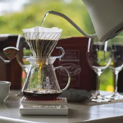 Finca Lérida Coffee Estate - Boquete