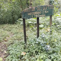 Pipeline Trail - Boquete