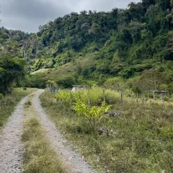 Pipeline Trail - Boquete