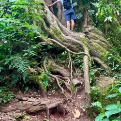 Pipeline Trail - Boquete