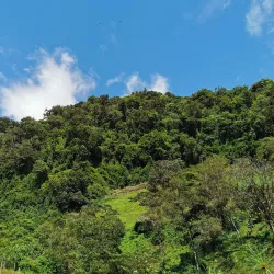 Pipeline Trail - Boquete