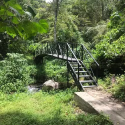 Pipeline Trail - Boquete