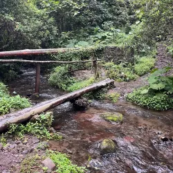 Pipeline Trail - Boquete