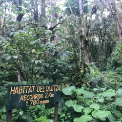 Pipeline Trail - Boquete