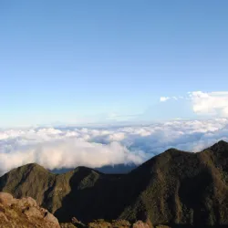 Volcán Barú National Park - Boquete