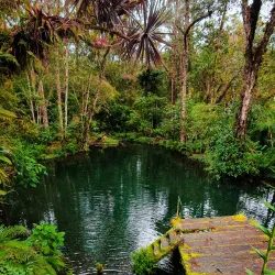 Chiriquí Highlands Scenic Drives - Bugaba