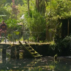 Chiriquí Highlands Scenic Drives - Bugaba