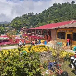 Local Festivals and Fairs - Bugaba