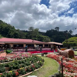 Local Festivals and Fairs - Bugaba