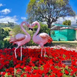 Local Festivals and Fairs - Bugaba