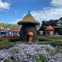 Local Festivals and Fairs - Bugaba