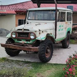 Local Festivals and Fairs - Bugaba